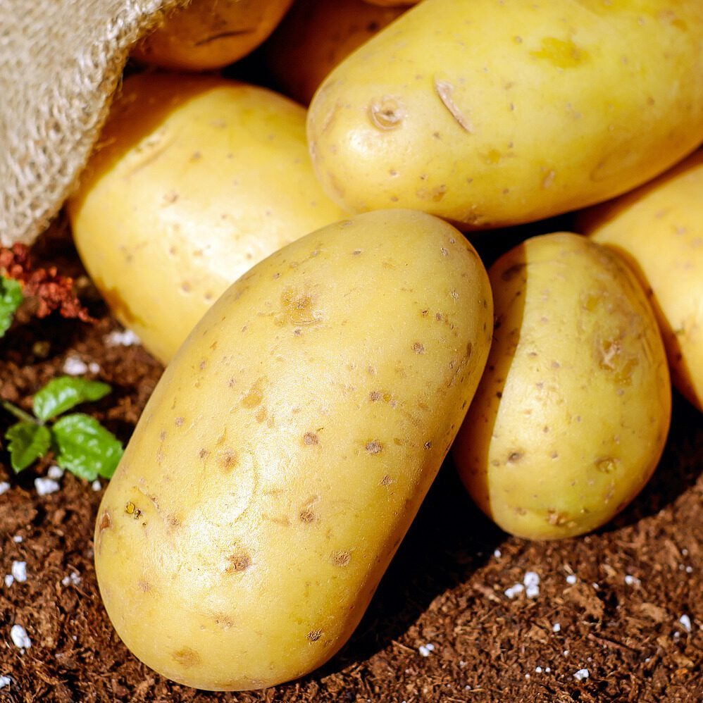 Aardappel Aardappel