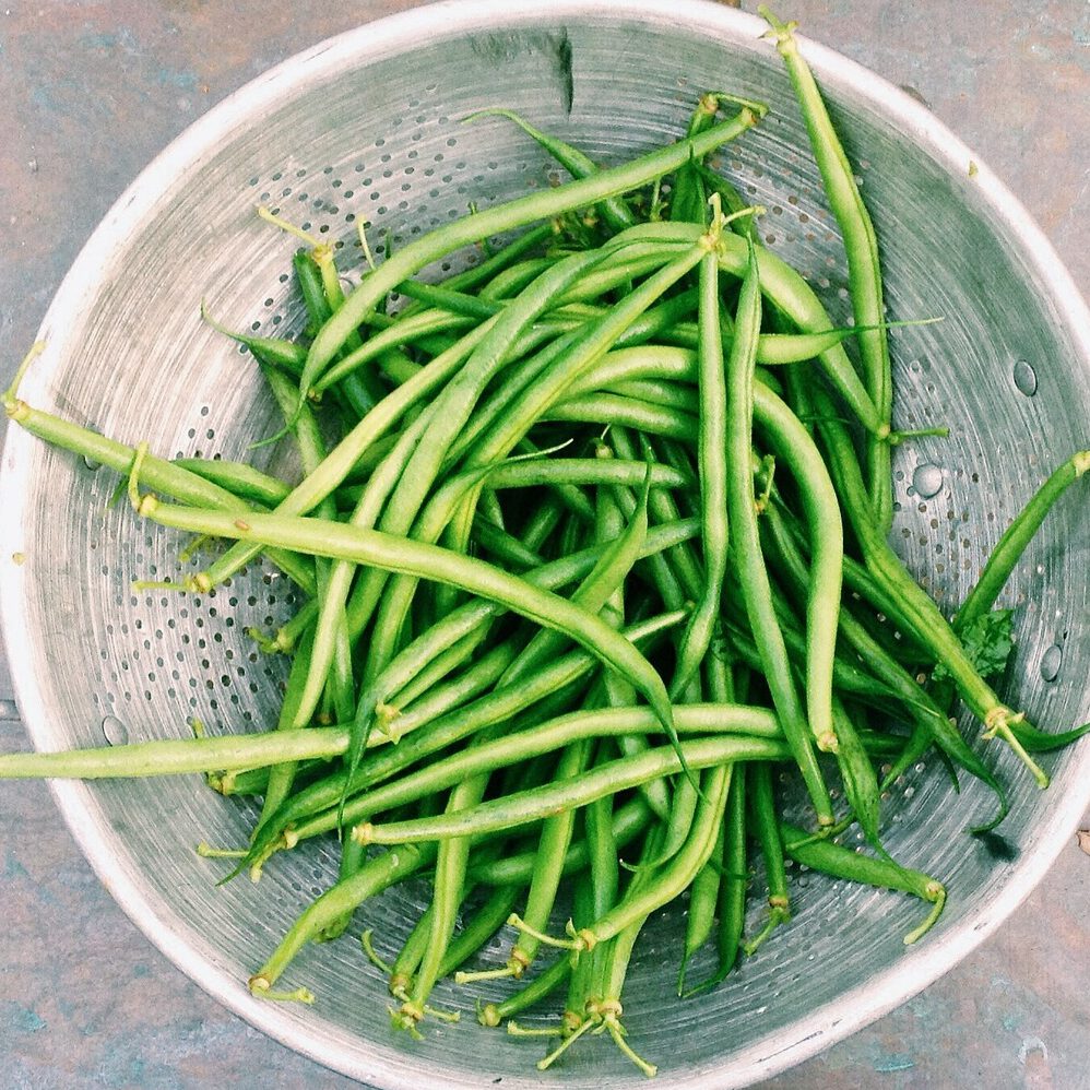 Groene Boontjes Groene Boontjes